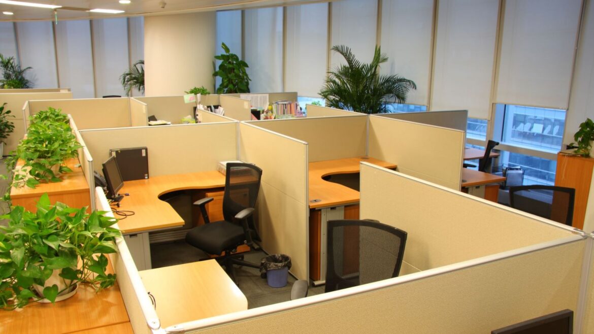 How Do Office Cubicles Impact Employee Productivity