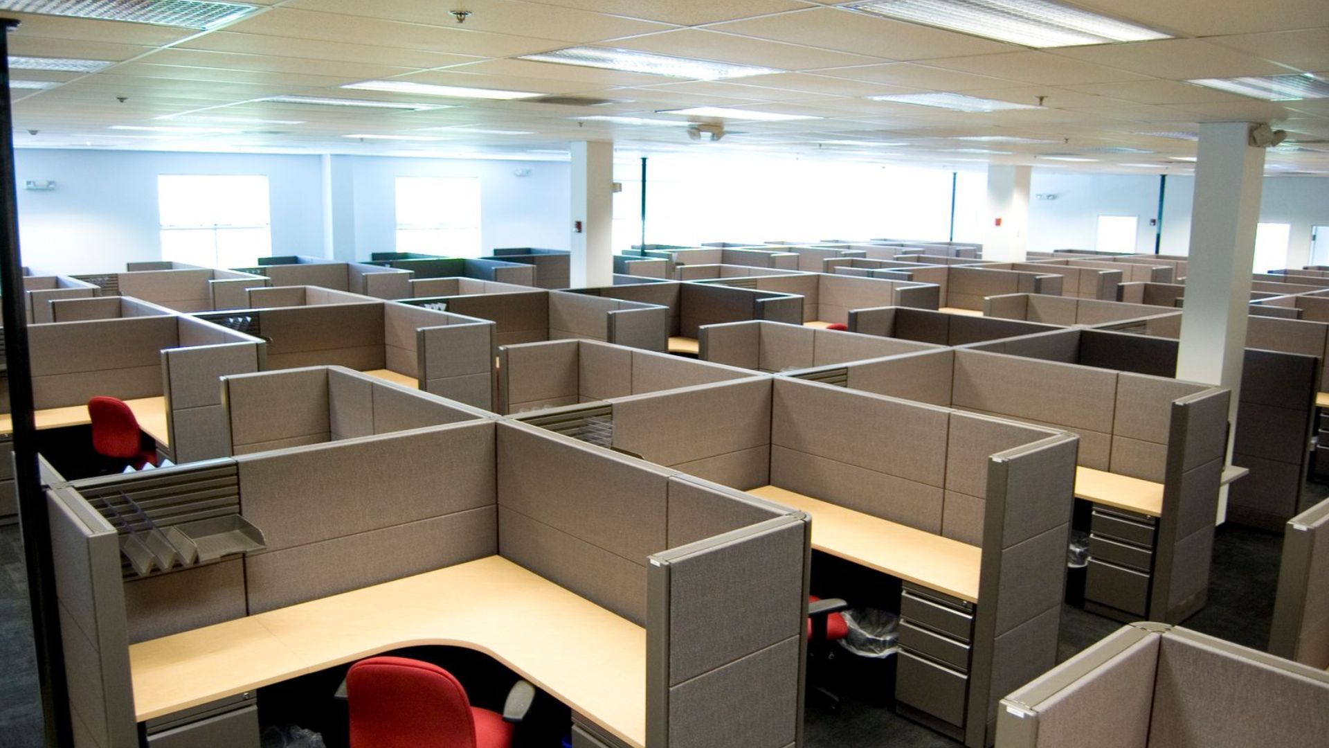 How Do Office Cubicles Impact Employee Productivity